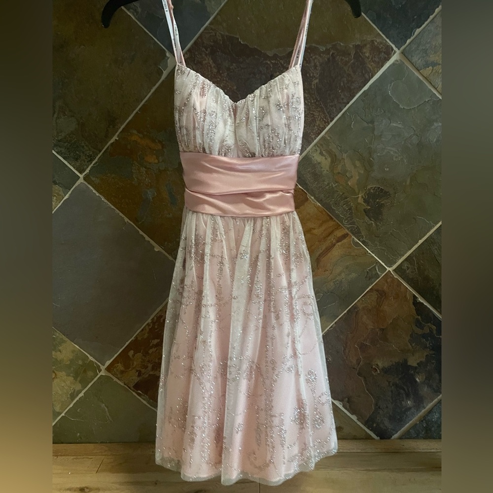 Pink satin dress with silver embellishments and a pale pink bow.